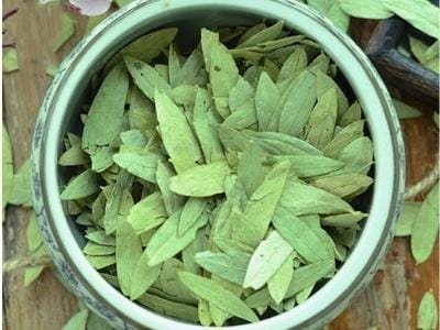 Senna Leaves Supplier